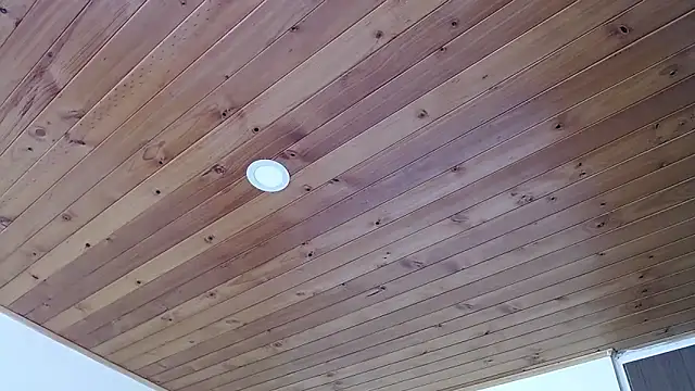 Snapshot of IVONNE_COLLINS33 chatting on September 21, 2025, 2:22 pm IVONNE COLLINS33 online show from September 21, 2025, 2:22 pm