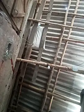 riyanag2 online show from December 16, 2025, 3:44 am