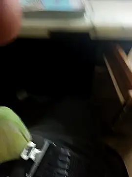 hotboy43339 online show from February 8, 2026, 5:05 am