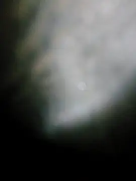 Snapshot of fena-sikerimmm chatting on May 19, 2026, 10:06 pm fena-sikerimmm online show from May 19, 2026, 10:06 pm