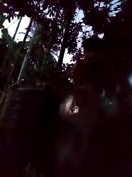 Snapshot of Johlrd chatting on December 5, 2025, 11:31 am Johlrd online show from December 5, 2025, 11:31 am