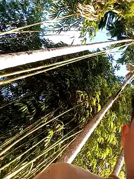 Snapshot of Johlrd chatting on December 17, 2025, 2:05 am Johlrd online show from December 17, 2025, 2:05 am