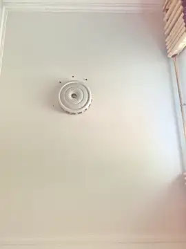 sisi-maiden online show from February 28, 2026, 7:19 am