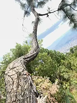 Snapshot of Alexis_Spicter chatting on September 16, 2025, 5:03 pm Alexis Spicter online show from September 16, 2025, 5:03 pm