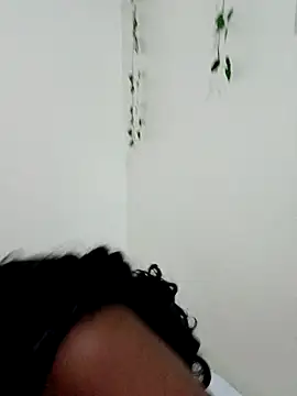 Snapshot of Nedambale chatting on September 21, 2025, 7:41 pm Nedambale online show from September 21, 2025, 7:41 pm