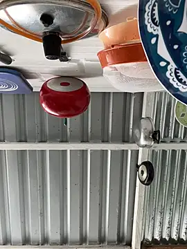 Axel-Mejia online show from March 26, 2026, 7:01 pm