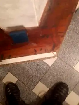 Snapshot of vergonvenco chatting on March 10, 2026, 5:44 am vergonvenco online show from March 10, 2026, 5:44 am