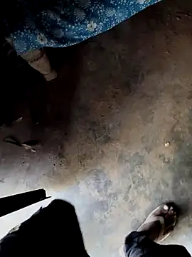 INTERNATIONAL0001 online show from December 3, 2025, 3:07 am