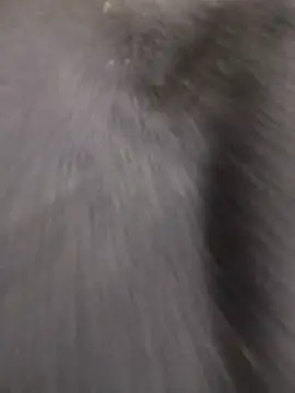 Funny Karina online show from December 15, 2025, 6:36 pm