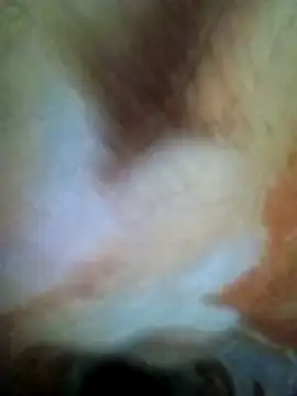 Snapshot of HOT-MUNDA chatting on December 17, 2025, 1:32 am HOT-MUNDA online show from December 17, 2025, 1:32 am