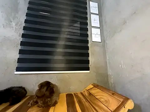 wild apple69 online show from December 15, 2025, 7:25 am