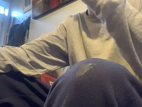 Insurance-03 online show from November 21, 2025, 7:24 pm