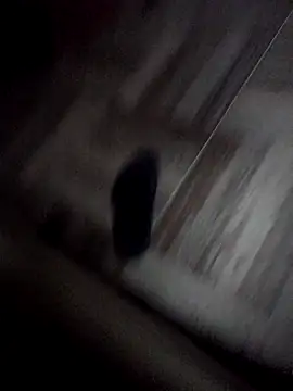 Snapshot of Girls_add_snap_srdjanbgd chatting on November 8, 2025, 6:28 am Girls add snap srdjanbgd online show from November 8, 2025, 6:28 am