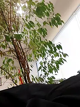 Snapshot of Emily_de_Carla chatting on September 24, 2025, 3:29 pm Emily de Carla online show from September 24, 2025, 3:29 pm