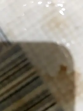 Jcj bhabi online show from September 29, 2025, 3:39 pm