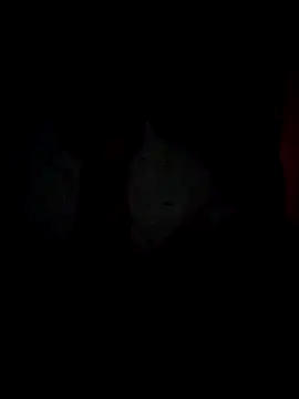 Snapshot of Chathutharu chatting on February 20, 2026, 10:01 pm Chathutharu online show from February 20, 2026, 10:01 pm