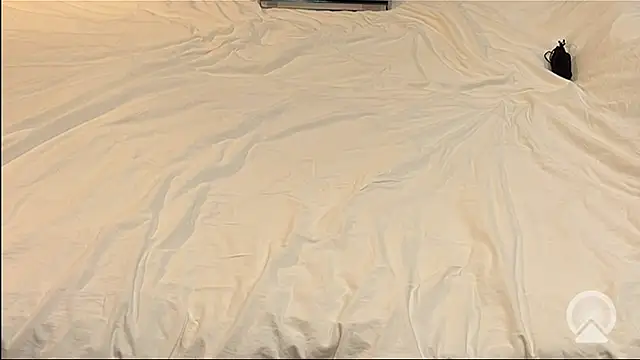 myPriority01 online show from January 9, 2026, 1:40 pm