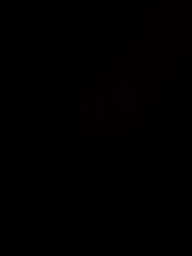 Beurberry19 online show from October 27, 2025, 5:25 pm