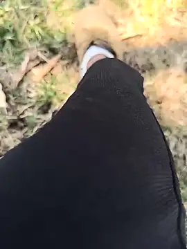 rajdehli online show from April 3, 2026, 5:58 am