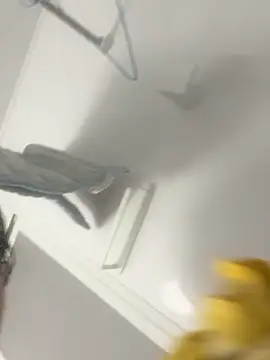 Snapshot of hiromu53 chatting on December 5, 2025, 12:15 pm hiromu53 online show from December 5, 2025, 12:15 pm