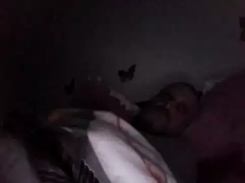 Hisnimin online show from February 18, 2026, 3:59 am