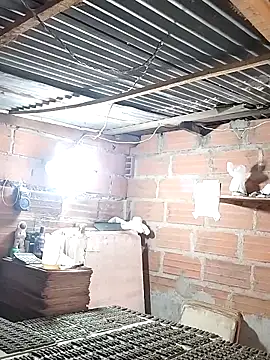 Snapshot of hoteder chatting on December 18, 2025, 12:42 pm hoteder online show from December 18, 2025, 12:42 pm