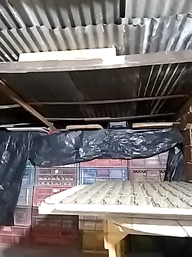 Snapshot of hoteder chatting on December 23, 2025, 12:43 am hoteder online show from December 23, 2025, 12:43 am