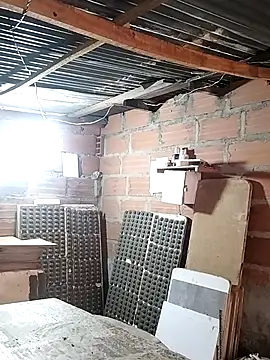 Snapshot of hoteder chatting on January 14, 2026, 12:31 pm hoteder online show from January 14, 2026, 12:31 pm