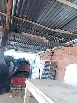 hoteder online show from April 18, 2026, 1:13 pm