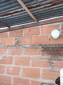 Snapshot of hoteder chatting on January 17, 2026, 3:15 pm hoteder online show from January 17, 2026, 3:15 pm