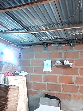 Snapshot of hoteder chatting on December 17, 2025, 1:27 pm hoteder online show from December 17, 2025, 1:27 pm