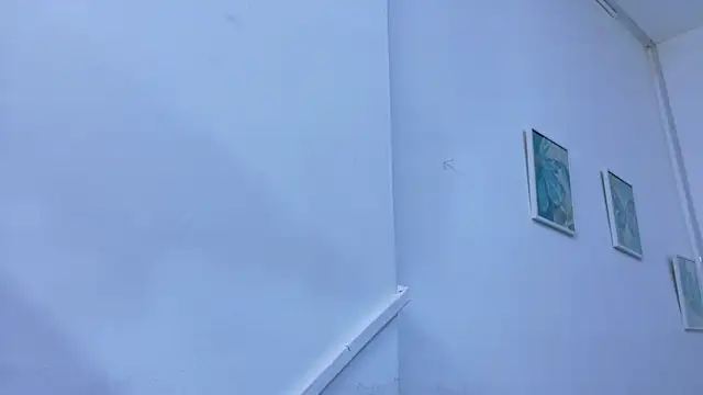 Lizbeth Rouse online show from November 10, 2025, 11:37 am