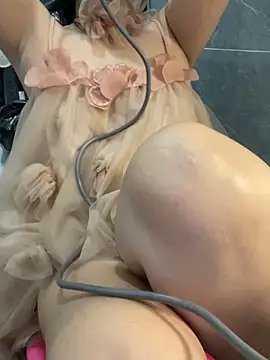 Knorr Vietnams online show from November 4, 2025, 12:42 pm