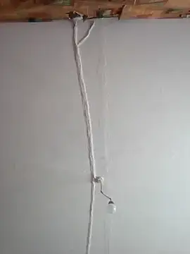 Romashka33011 online show from February 24, 2026, 9:32 am