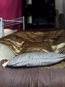 Miss thorne online show from October 29, 2025, 1:43 pm