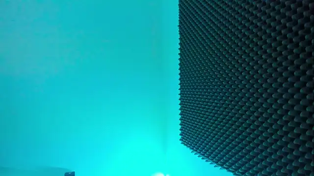 Ellope  online show from October 29, 2025, 11:25 pm