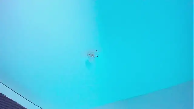 Im naho online show from November 14, 2025, 10:02 pm