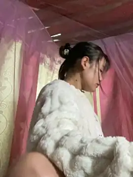 Snapshot of PhanHaa chatting on December 17, 2025, 12:10 pm PhanHaa online show from December 17, 2025, 12:10 pm