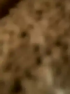 Snapshot of PhanHaa chatting on November 18, 2025, 1:54 am PhanHaa online show from November 18, 2025, 1:54 am