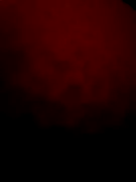 Seksimmm22 online show from November 5, 2025, 3:09 am