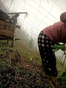 quynhkoolbae online show from March 4, 2026, 3:25 am