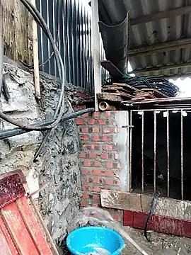 linda bae00 online show from February 26, 2026, 12:43 am