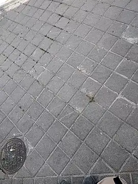 xxxfeo online show from April 9, 2026, 12:00 pm