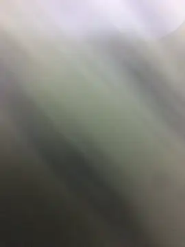 HaltBrand online show from October 22, 2025, 11:03 pm