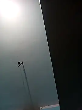 Apkisona8 online show from October 13, 2025, 12:23 am