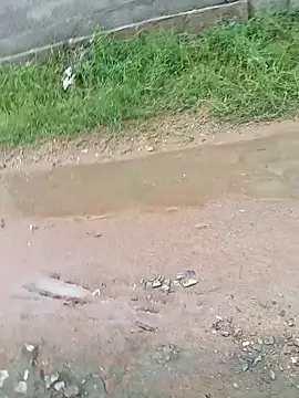 dolphiinn online show from November 29, 2025, 2:34 am