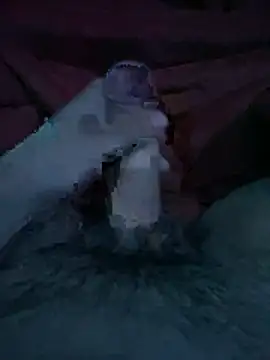 el pija chica online show from December 17, 2025, 12:15 am