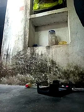 cute diya 12 online show from December 14, 2025, 2:51 am