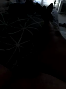 Snapshot of julienCr7 chatting on November 17, 2025, 2:54 pm julienCr7 online show from November 17, 2025, 2:54 pm