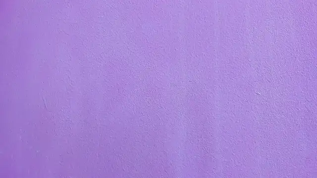 scarlett646 online show from February 24, 2026, 3:07 am